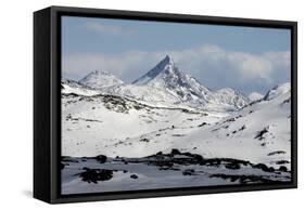 Sognefjell mountains, above Skjolden-Tony Waltham-Framed Stretched Canvas