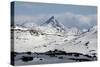 Sognefjell mountains, above Skjolden-Tony Waltham-Stretched Canvas