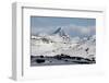 Sognefjell mountains, above Skjolden-Tony Waltham-Framed Photographic Print