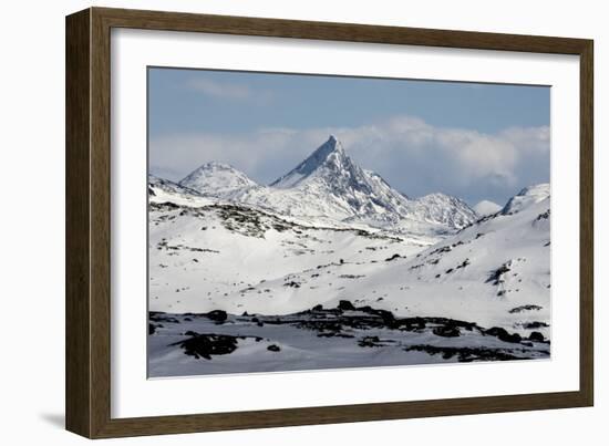 Sognefjell mountains, above Skjolden-Tony Waltham-Framed Photographic Print