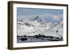 Sognefjell mountains, above Skjolden-Tony Waltham-Framed Photographic Print