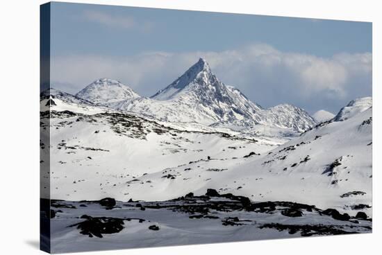 Sognefjell mountains, above Skjolden-Tony Waltham-Stretched Canvas