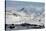 Sognefjell mountains, above Skjolden-Tony Waltham-Stretched Canvas