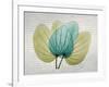 SoHo Orchid 3-Albert Koetsier-Framed Art Print