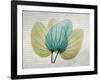 SoHo Orchid 3-Albert Koetsier-Framed Art Print