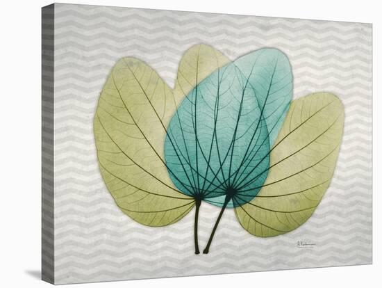 SoHo Orchid 3-Albert Koetsier-Stretched Canvas