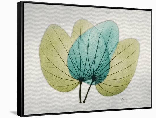 SoHo Orchid 3-Albert Koetsier-Framed Stretched Canvas