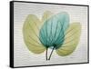 SoHo Orchid 3-Albert Koetsier-Framed Stretched Canvas