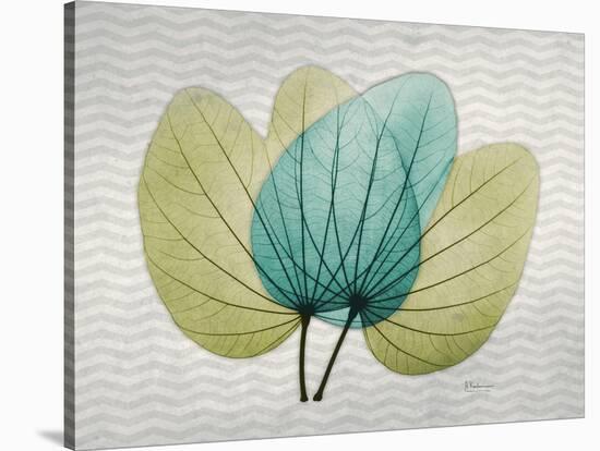 SoHo Orchid 3-Albert Koetsier-Stretched Canvas