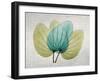 SoHo Orchid 3-Albert Koetsier-Framed Art Print