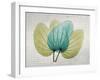 SoHo Orchid 3-Albert Koetsier-Framed Art Print