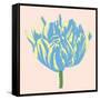 Soho Tulip I-Zachary Alexander-Framed Stretched Canvas