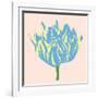 Soho Tulip I-Zachary Alexander-Framed Art Print