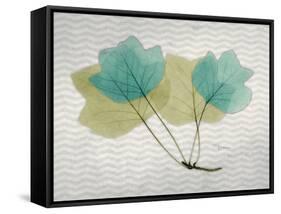 SoHo Tulip Tree-Albert Koetsier-Framed Stretched Canvas