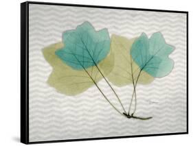 SoHo Tulip Tree-Albert Koetsier-Framed Stretched Canvas