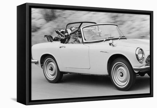 Soichiro Honda Driving Honda Convertible, Tokyo, Japan, 1967-Takeyoshi Tanuma-Framed Stretched Canvas