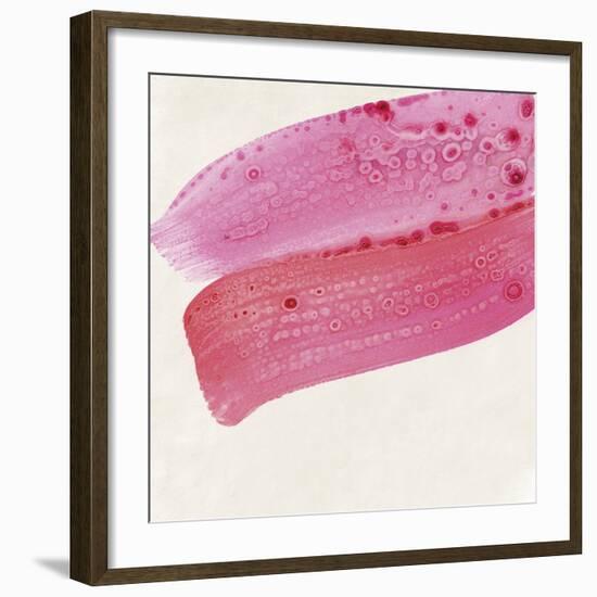 Soif de Vivre-Lottie Fontaine-Framed Giclee Print