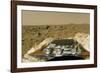 Sojourner Before Leaving the Mars Pathfinder-null-Framed Photographic Print