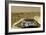 Sojourner Before Leaving the Mars Pathfinder-null-Framed Photographic Print