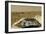 Sojourner Before Leaving the Mars Pathfinder-null-Framed Photographic Print