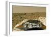 Sojourner Before Leaving the Mars Pathfinder-null-Framed Photographic Print