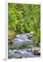 Sol Doc River, Olympic National Park, UNESCO World Heritage Site-Richard Maschmeyer-Framed Photographic Print