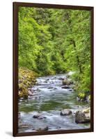 Sol Doc River, Olympic National Park, UNESCO World Heritage Site-Richard Maschmeyer-Framed Photographic Print