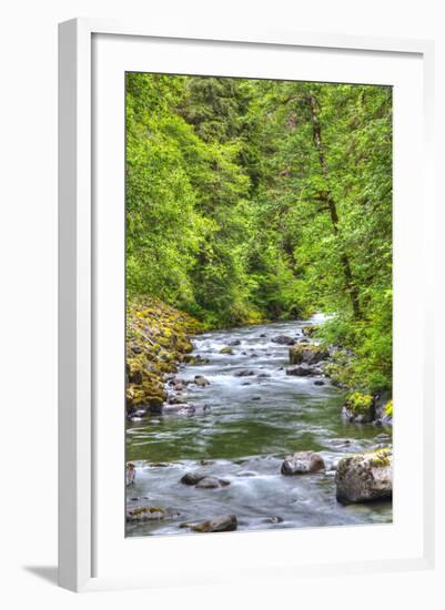 Sol Doc River, Olympic National Park, UNESCO World Heritage Site-Richard Maschmeyer-Framed Photographic Print