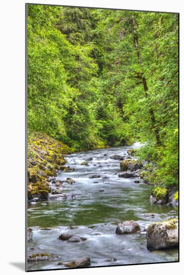 Sol Doc River, Olympic National Park, UNESCO World Heritage Site-Richard Maschmeyer-Mounted Photographic Print