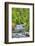 Sol Doc River, Olympic National Park, UNESCO World Heritage Site-Richard Maschmeyer-Framed Photographic Print