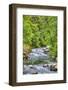 Sol Doc River, Olympic National Park, UNESCO World Heritage Site-Richard Maschmeyer-Framed Photographic Print