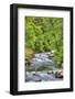 Sol Doc River, Olympic National Park, UNESCO World Heritage Site-Richard Maschmeyer-Framed Photographic Print