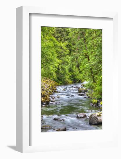 Sol Doc River, Olympic National Park, UNESCO World Heritage Site-Richard Maschmeyer-Framed Photographic Print