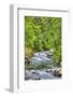 Sol Doc River, Olympic National Park, UNESCO World Heritage Site-Richard Maschmeyer-Framed Photographic Print