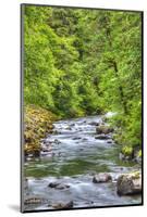 Sol Doc River, Olympic National Park, UNESCO World Heritage Site-Richard Maschmeyer-Mounted Photographic Print