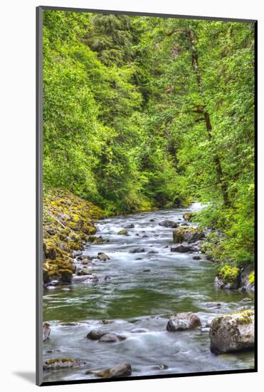 Sol Doc River, Olympic National Park, UNESCO World Heritage Site-Richard Maschmeyer-Mounted Photographic Print