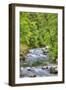 Sol Doc River, Olympic National Park, UNESCO World Heritage Site-Richard Maschmeyer-Framed Photographic Print