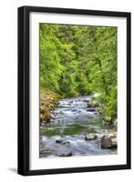 Sol Doc River, Olympic National Park, UNESCO World Heritage Site-Richard Maschmeyer-Framed Photographic Print