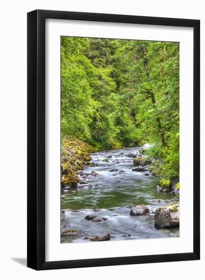 Sol Doc River, Olympic National Park, UNESCO World Heritage Site-Richard Maschmeyer-Framed Photographic Print