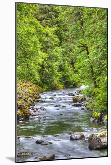 Sol Doc River, Olympic National Park, UNESCO World Heritage Site-Richard Maschmeyer-Mounted Photographic Print