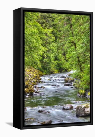 Sol Doc River, Olympic National Park, UNESCO World Heritage Site-Richard Maschmeyer-Framed Stretched Canvas