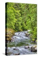 Sol Doc River, Olympic National Park, UNESCO World Heritage Site-Richard Maschmeyer-Stretched Canvas