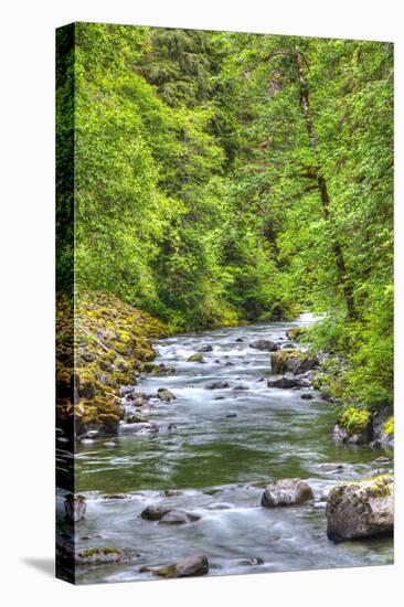 Sol Doc River, Olympic National Park, UNESCO World Heritage Site-Richard Maschmeyer-Stretched Canvas