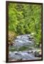 Sol Doc River, Olympic National Park, UNESCO World Heritage Site-Richard Maschmeyer-Framed Premium Photographic Print