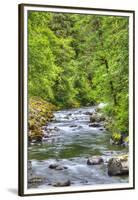 Sol Doc River, Olympic National Park, UNESCO World Heritage Site-Richard Maschmeyer-Framed Premium Photographic Print