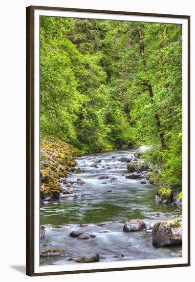 Sol Doc River, Olympic National Park, UNESCO World Heritage Site-Richard Maschmeyer-Framed Premium Photographic Print