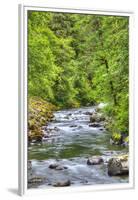 Sol Doc River, Olympic National Park, UNESCO World Heritage Site-Richard Maschmeyer-Framed Premium Photographic Print