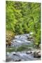 Sol Doc River, Olympic National Park, UNESCO World Heritage Site-Richard Maschmeyer-Mounted Premium Photographic Print