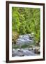 Sol Doc River, Olympic National Park, UNESCO World Heritage Site-Richard Maschmeyer-Framed Photographic Print