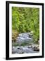 Sol Doc River, Olympic National Park, UNESCO World Heritage Site-Richard Maschmeyer-Framed Photographic Print